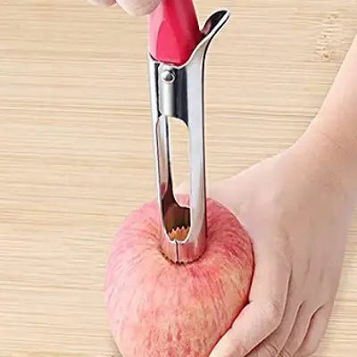 vide-pomme-poignee